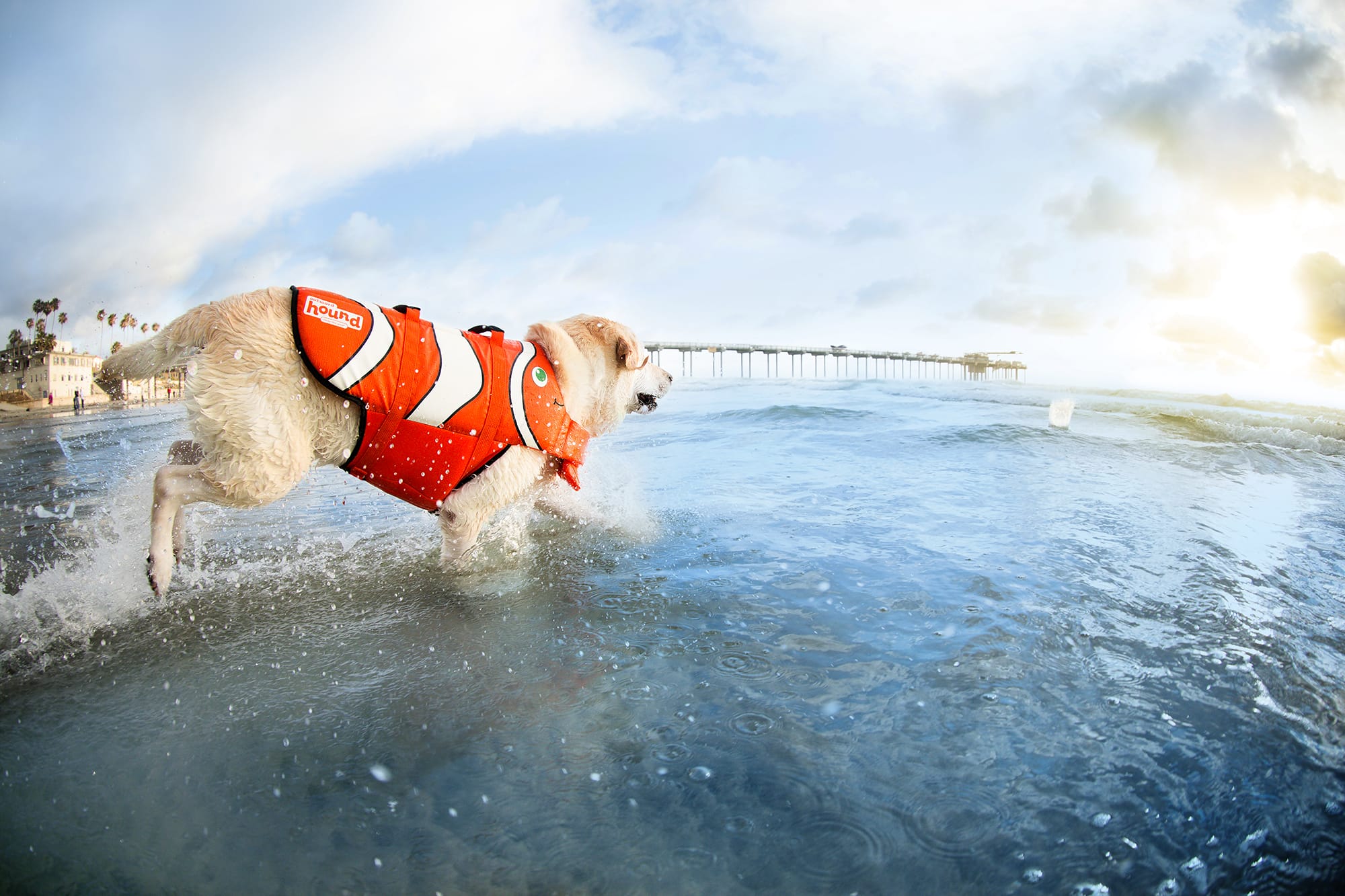 Outward hound fun shop fish life jacket