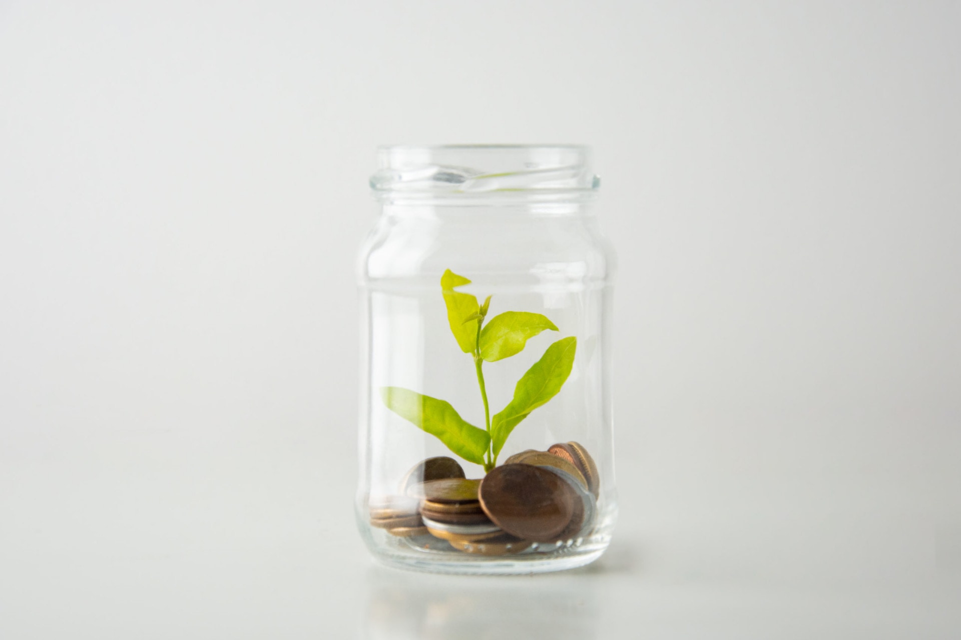 jarro com moedas e planta representam a lucratividade da economia circular